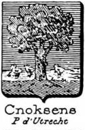 Cnoksens Coat of Arms / Family Crest 0