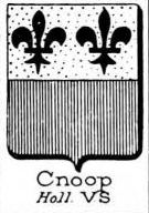 Cnoop Coat of Arms / Family Crest 2