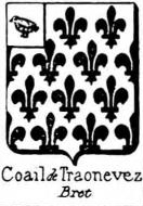 Coail Coat of Arms / Family Crest 0