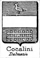Cocalini Coat of Arms / Family Crest 0