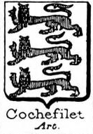 Cochefilet Coat of Arms / Family Crest 0