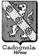 Codognola Coat of Arms / Family Crest 0