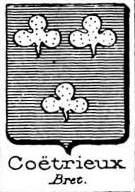 Coetrieux Coat of Arms / Family Crest 0