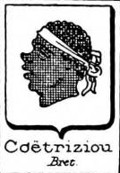 Coetriziou Coat of Arms / Family Crest 0