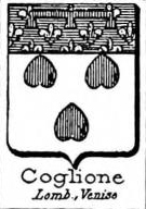 Coglione Coat of Arms / Family Crest 0
