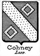 Cohney Coat of Arms / Family Crest 0