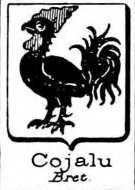 Cojalu Coat of Arms / Family Crest 0