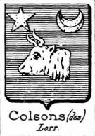 Colsons Coat of Arms / Family Crest 0