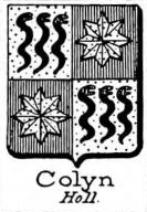 Colyn Coat of Arms / Family Crest 2