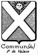 Commun Coat of Arms / Family Crest 0