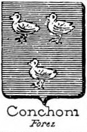Conchoni Coat of Arms / Family Crest 0