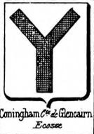 Coningham Coat of Arms / Family Crest 2