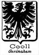 Cooll Coat of Arms / Family Crest 0