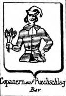 Copauern Coat of Arms / Family Crest 1
