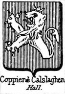 Coppier Coat of Arms / Family Crest 2