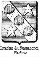 Coradini Coat of Arms / Family Crest 0