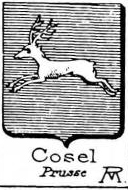 Cosel Coat of Arms / Family Crest 2