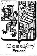 Cosel Coat of Arms / Family Crest 1