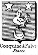 Cosquino Coat of Arms / Family Crest 0