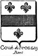 Coue Coat of Arms / Family Crest 1