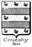 Coueshy Coat of Arms / Family Crest 0