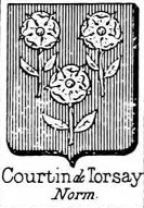 Courtin Coat of Arms / Family Crest 7