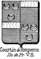 Courtin Coat of Arms / Family Crest 10