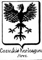 Cozic Coat of Arms / Family Crest 0
