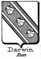 Darwin Coat of Arms / Family Crest 4