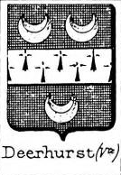 Deerhurst Coat of Arms / Family Crest 0