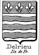 Delrieu Coat of Arms / Family Crest 0