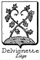 Delvignette Coat of Arms / Family Crest 0