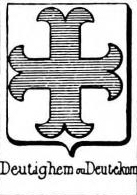 Deutighem Coat of Arms / Family Crest 0