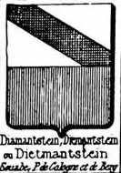 Diamantstein Coat of Arms / Family Crest 0