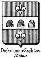 dickmann Coat of Arms / Family Crest 0