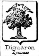 Diguaron Coat of Arms / Family Crest 0