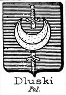 Dluski Coat of Arms / Family Crest 2