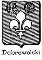 Dobrowolski Coat of Arms / Family Crest 0