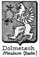 Dolmetsch Coat of Arms / Family Crest 0
