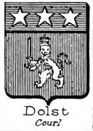 Dolst Coat of Arms / Family Crest 0