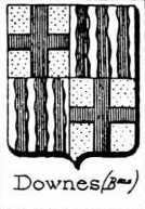 Downes Coat of Arms / Family Crest 0