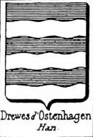 Drewes Coat of Arms / Family Crest 0