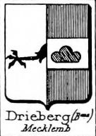Drieberg Coat of Arms / Family Crest 1