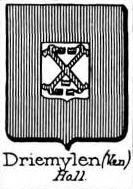 Driemylen Coat of Arms / Family Crest 0