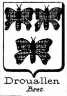 Drouallen Coat of Arms / Family Crest 0