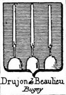 Drujon Coat of Arms / Family Crest 0
