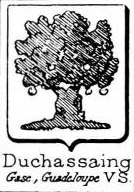 Duchassaing Coat of Arms / Family Crest 0