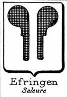 Efringen Coat of Arms / Family Crest 0