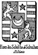 Eisen Coat of Arms / Family Crest 6