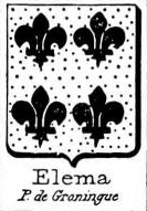 Elema Coat of Arms / Family Crest 0